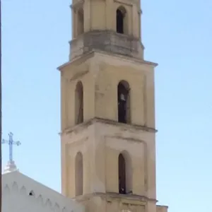 Cinghiale Bianco Cagliari
